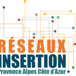 réseaux insertion